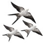 Aberto Design Flying Swallow - 2 Blanco y Negro